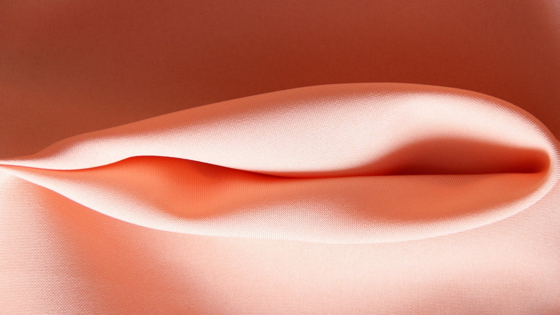 Vulva und Vagina: Ein Blick auf die Unterschiede im weiblichen Körper - Periodenunterwäsche, Menstruationsunterwäsche von my•mense
