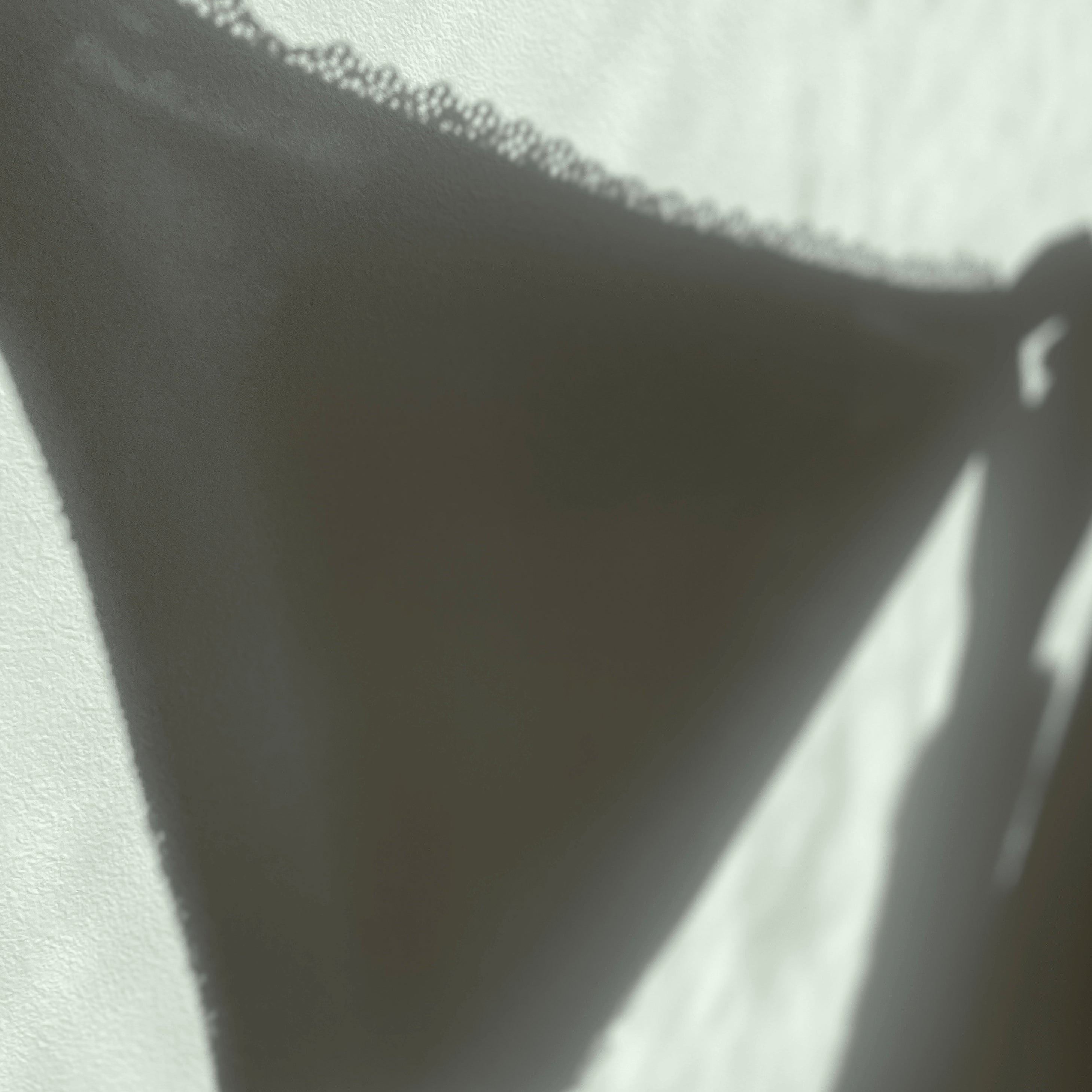 3E1637C9-5189-475C-B3ED-CFC4EE7F183B