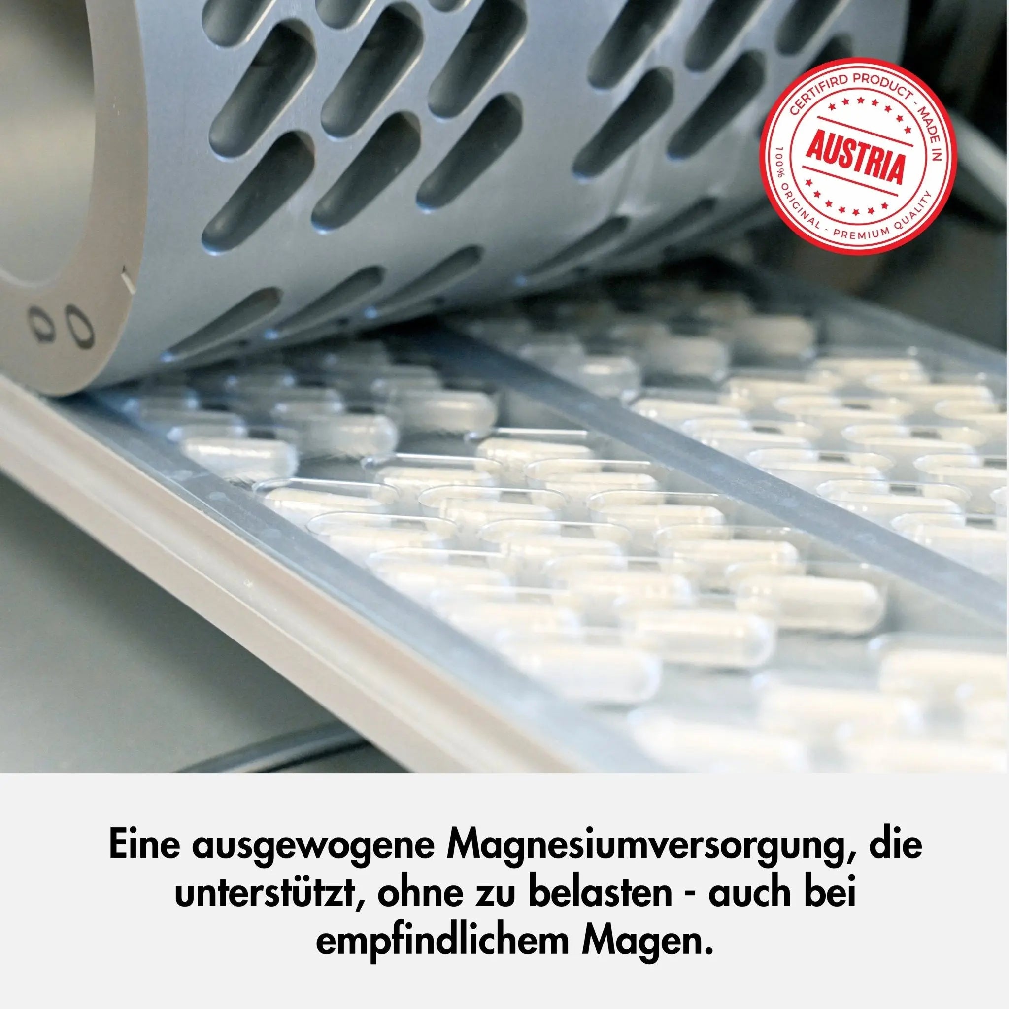Magnesium 7 - Komplex - Periodenunterwäsche, Menstruationsunterwäsche von my•mense