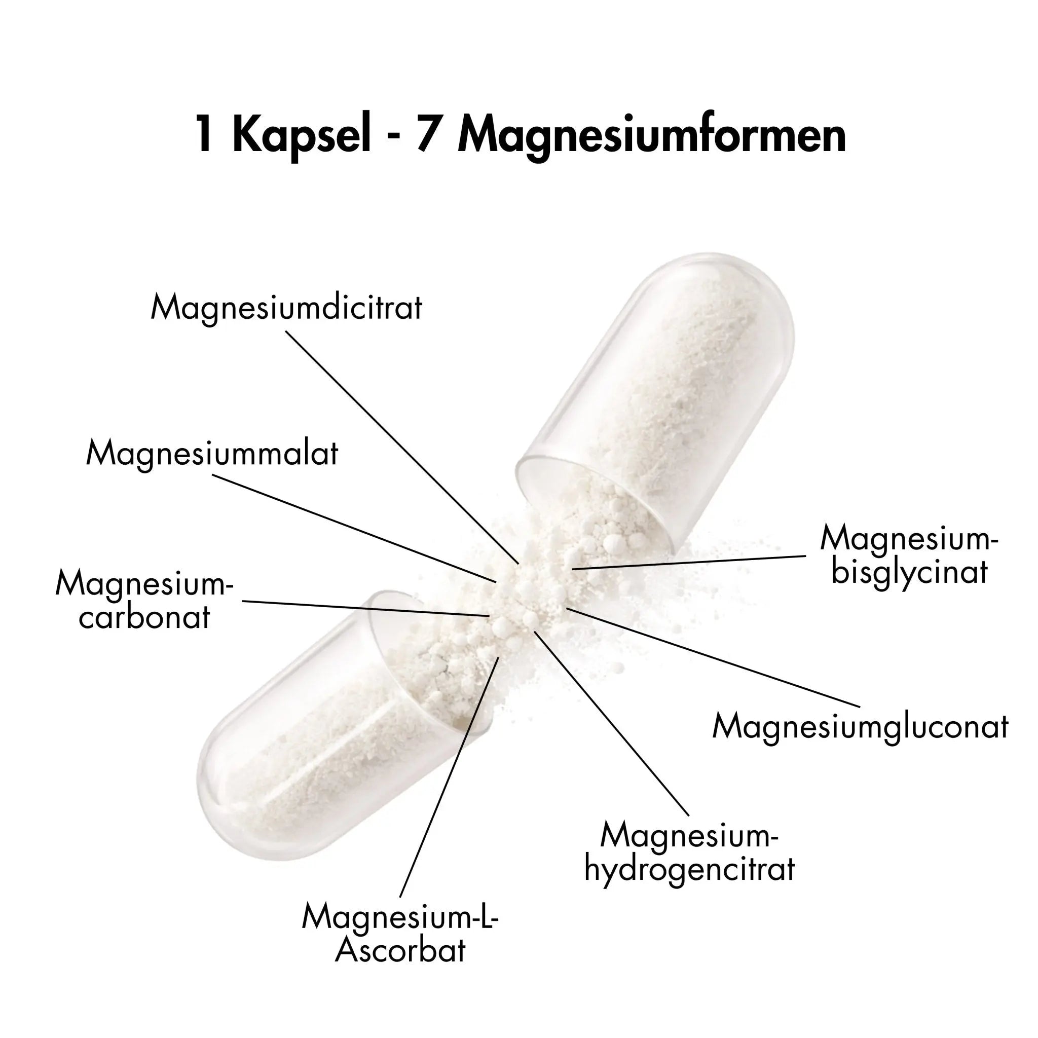 Magnesium 7 - Komplex - Periodenunterwäsche, Menstruationsunterwäsche von my•mense