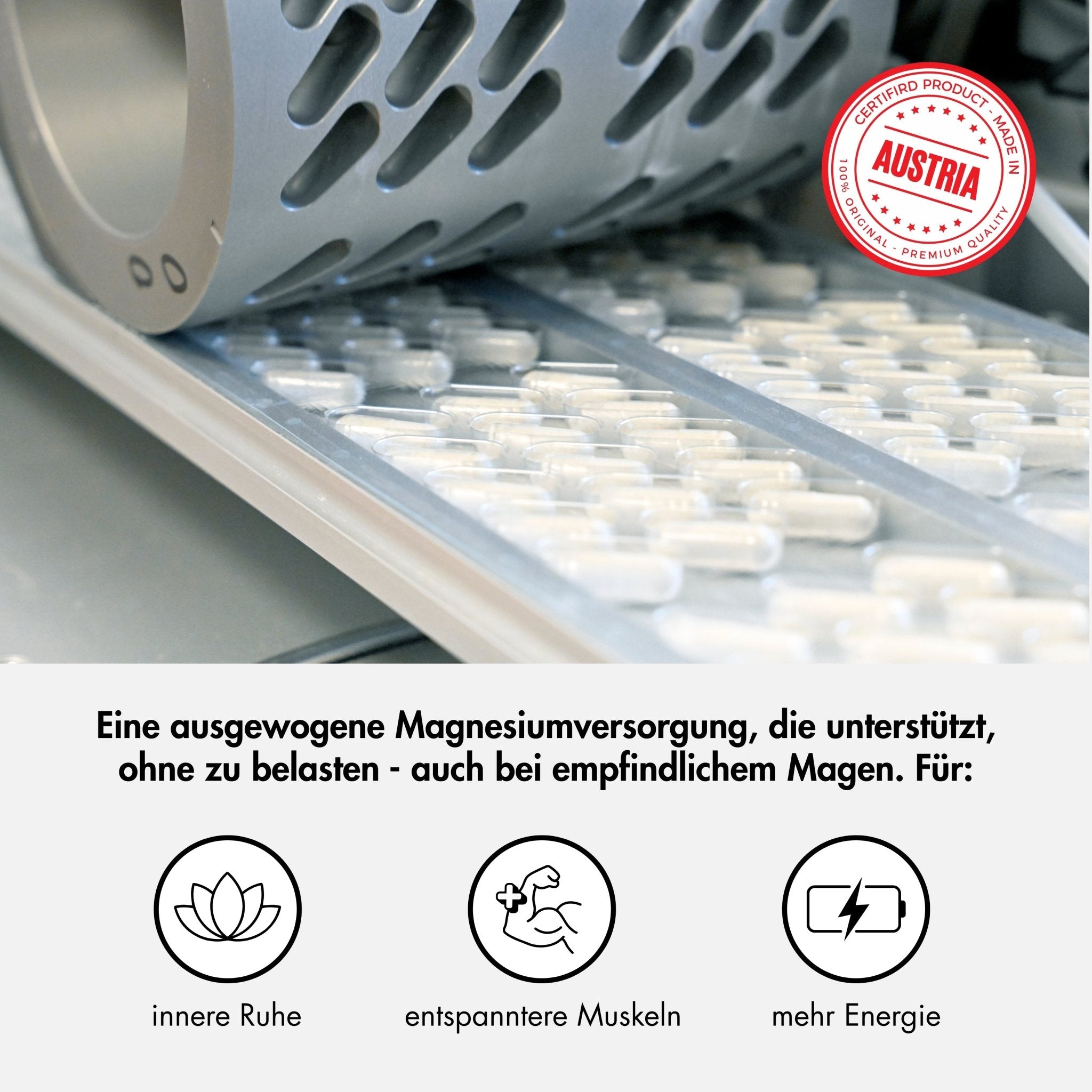 Menstrual Support Magnesium - Periodenunterwäsche, Menstruationsunterwäsche von my•mense